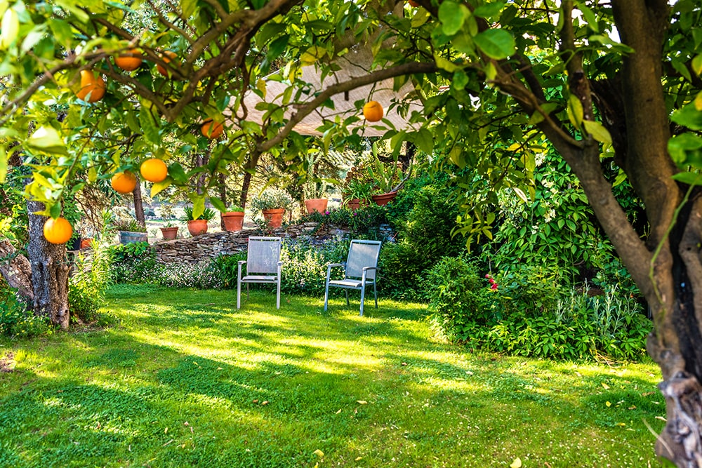 Allée et aménagement de jardin - La Maison Des Travaux