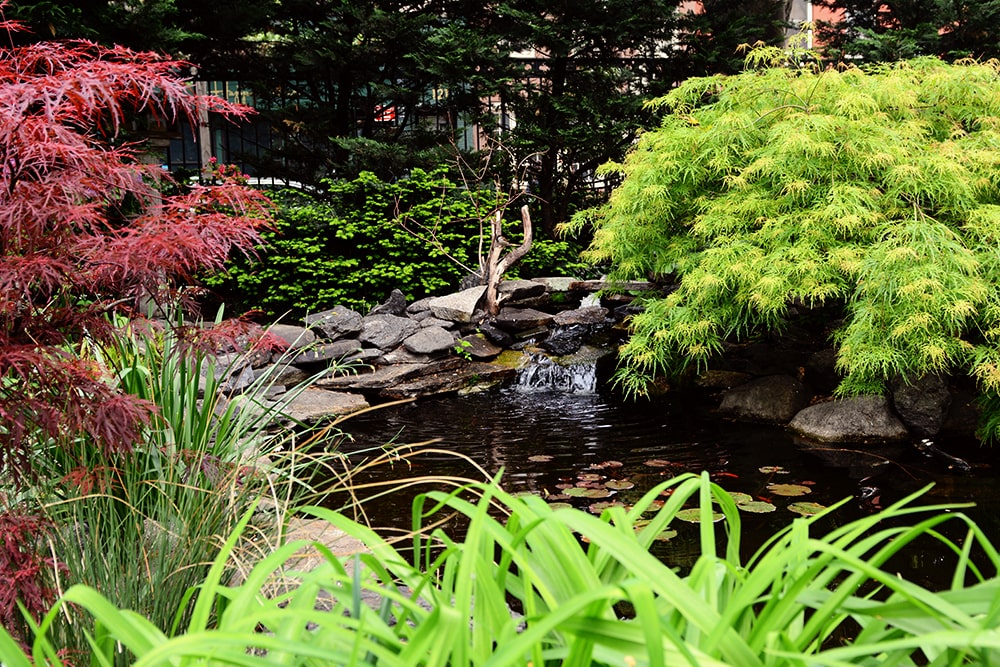 Pose de la Bâche EPDM - Étang Bassin d'eau et Jardin d'eau