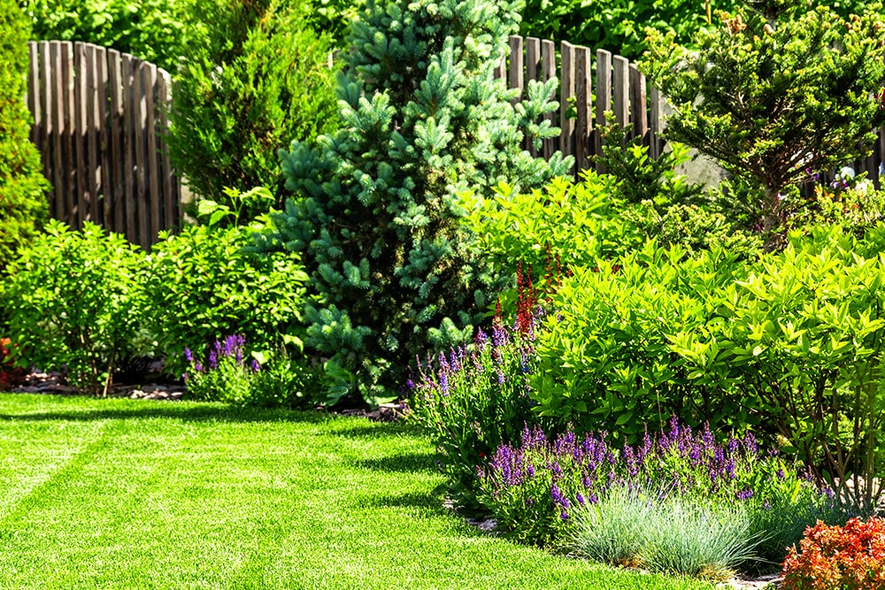 3 manières de protéger son jardin du regard des voisins