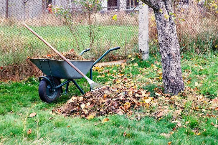Ramassage et utilisation des feuilles mortes au jardin