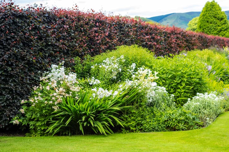 Quel brise-vue pour votre jardin secret ?