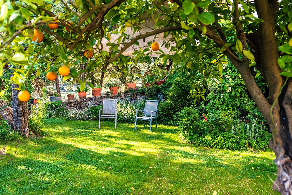 Aménagement du jardin - prix