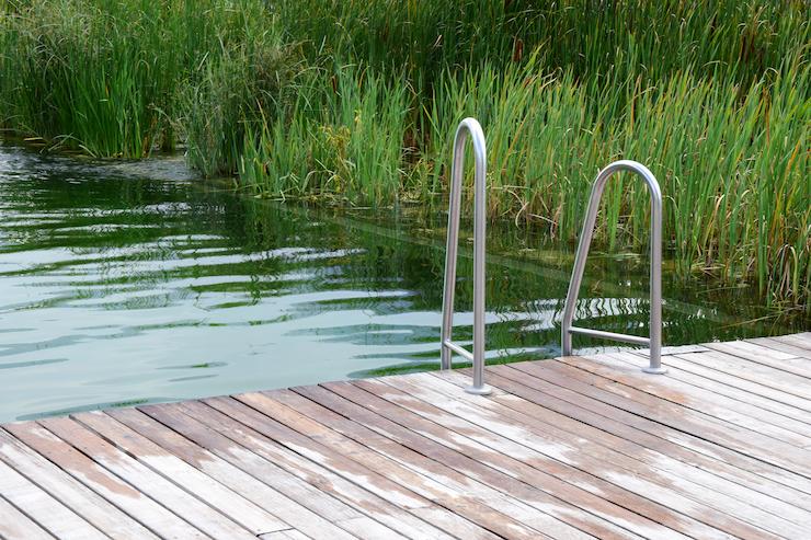 Six bonnes raisons de choisir une piscine naturelle