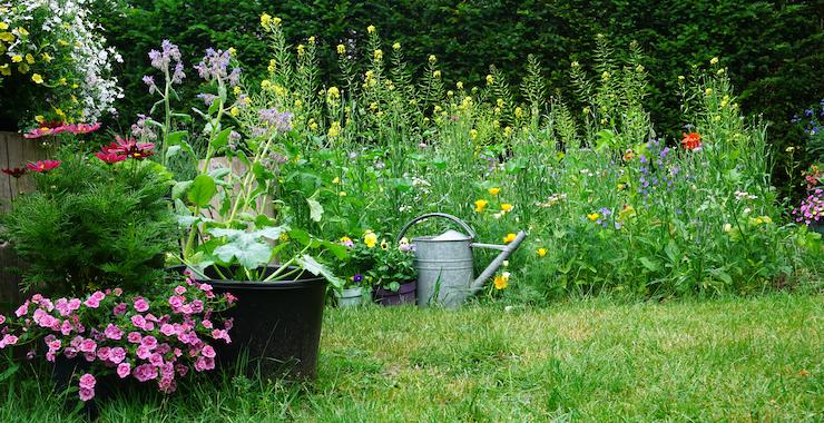 Quelles solutions pour adapter votre jardin au changement climatique ?