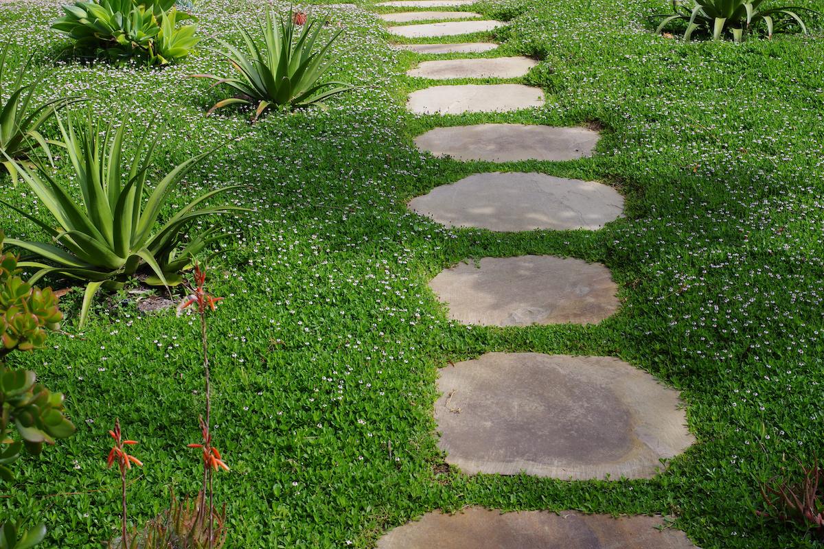 Comment réussir la pose de pas japonais dans un jardin ?