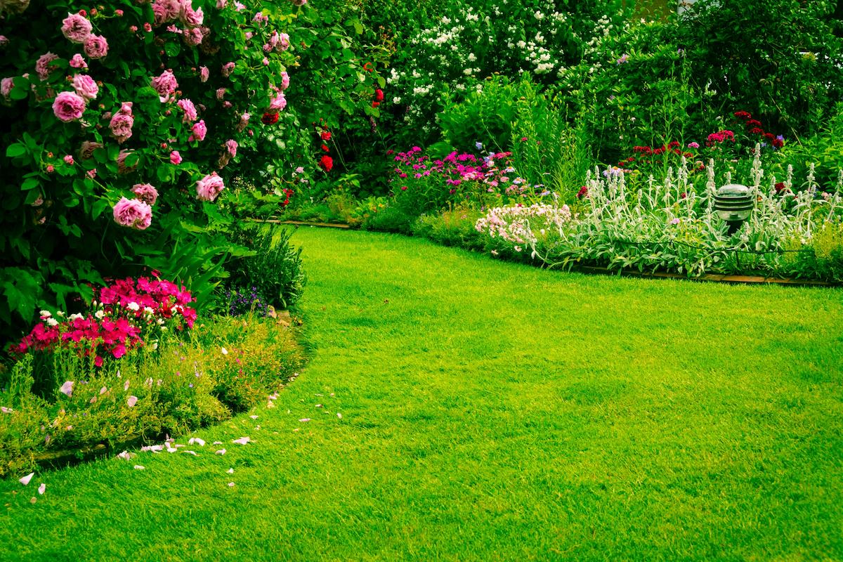 fertilisation-pelouse-ootravaux