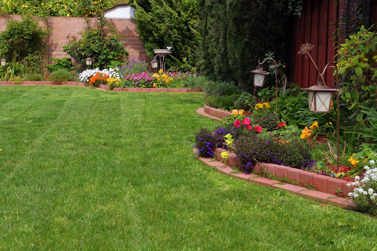 Comment créer un parterre de fleurs sans entretien : les astuces