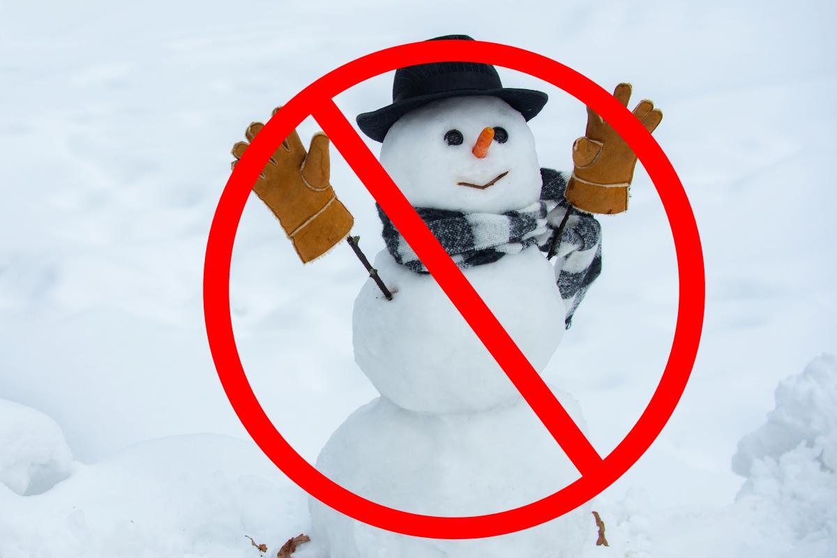 bonhomme-neige-gazon