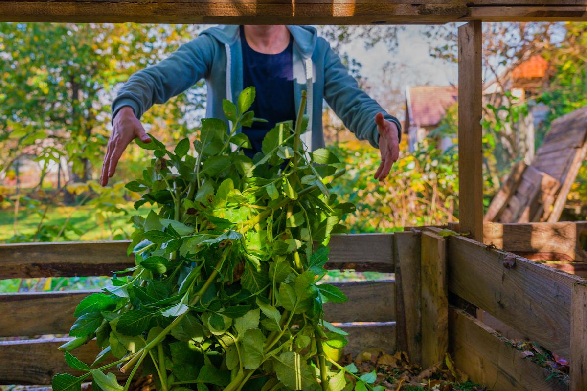 Une personne en train de jeter ses déchets verts.