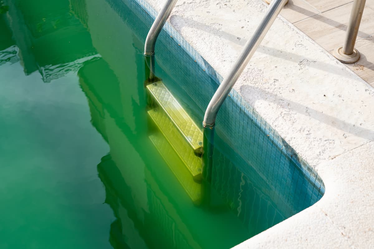 Oubliez l'eau verte : voici comment retrouver une eau claire dans votre piscine