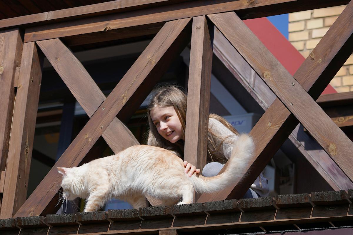 Enfant et chat sur un balcon non sécurisé. 