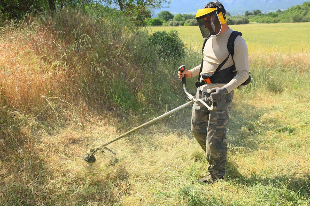 debroussailler son terrain 