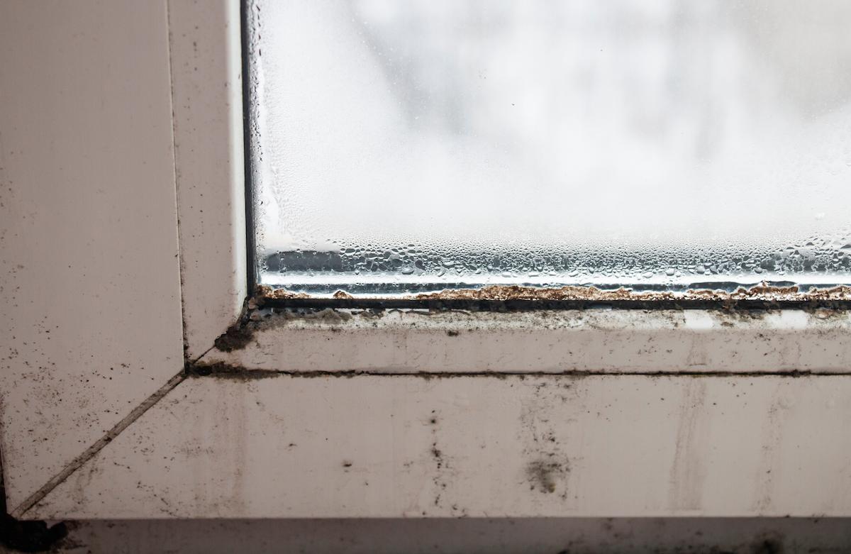 moisissure sur les bords d'une fenetre en pvc blanc