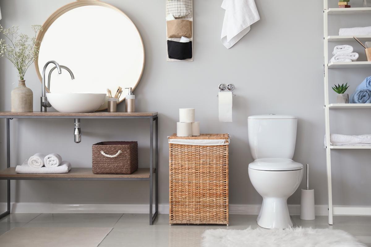 déboucher-toilettes-WC