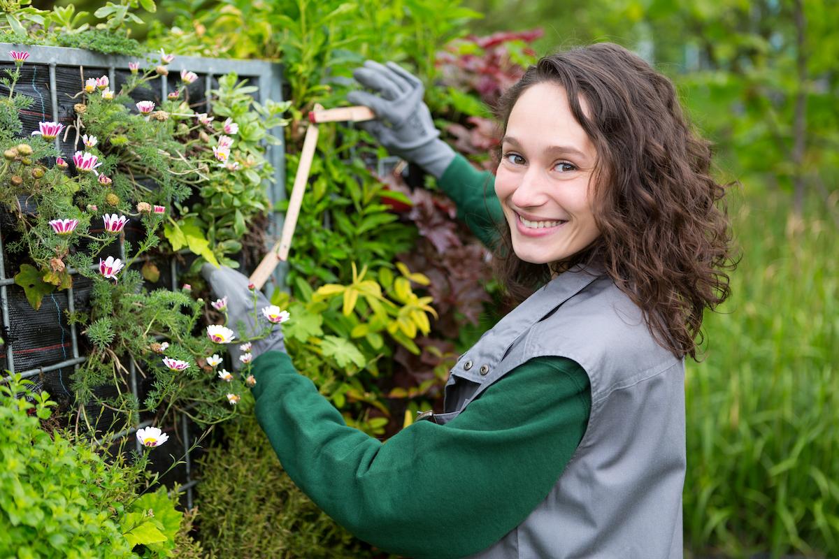 Paysagiste à Toulouse : trouvez un professionnel pour votre jardin en Haute-Garonne