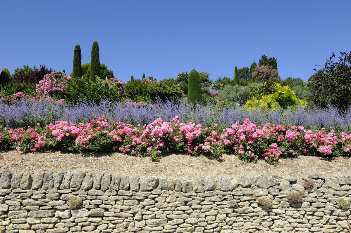 Enrochement et terrain fleuri