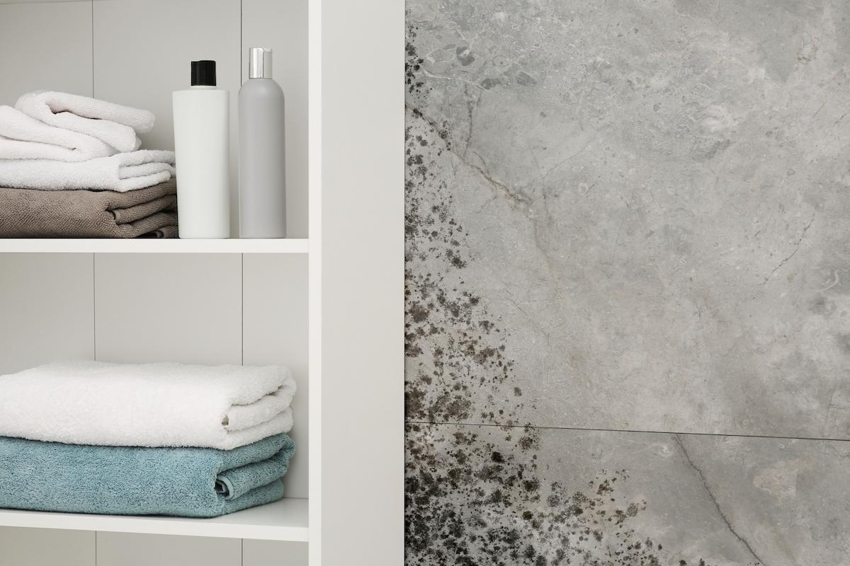 humidité mur salle de bain