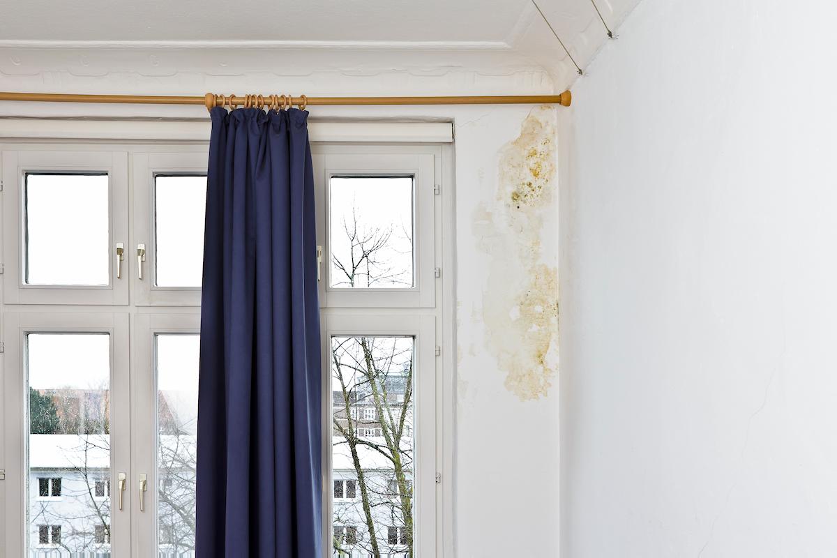 moisissure chambre