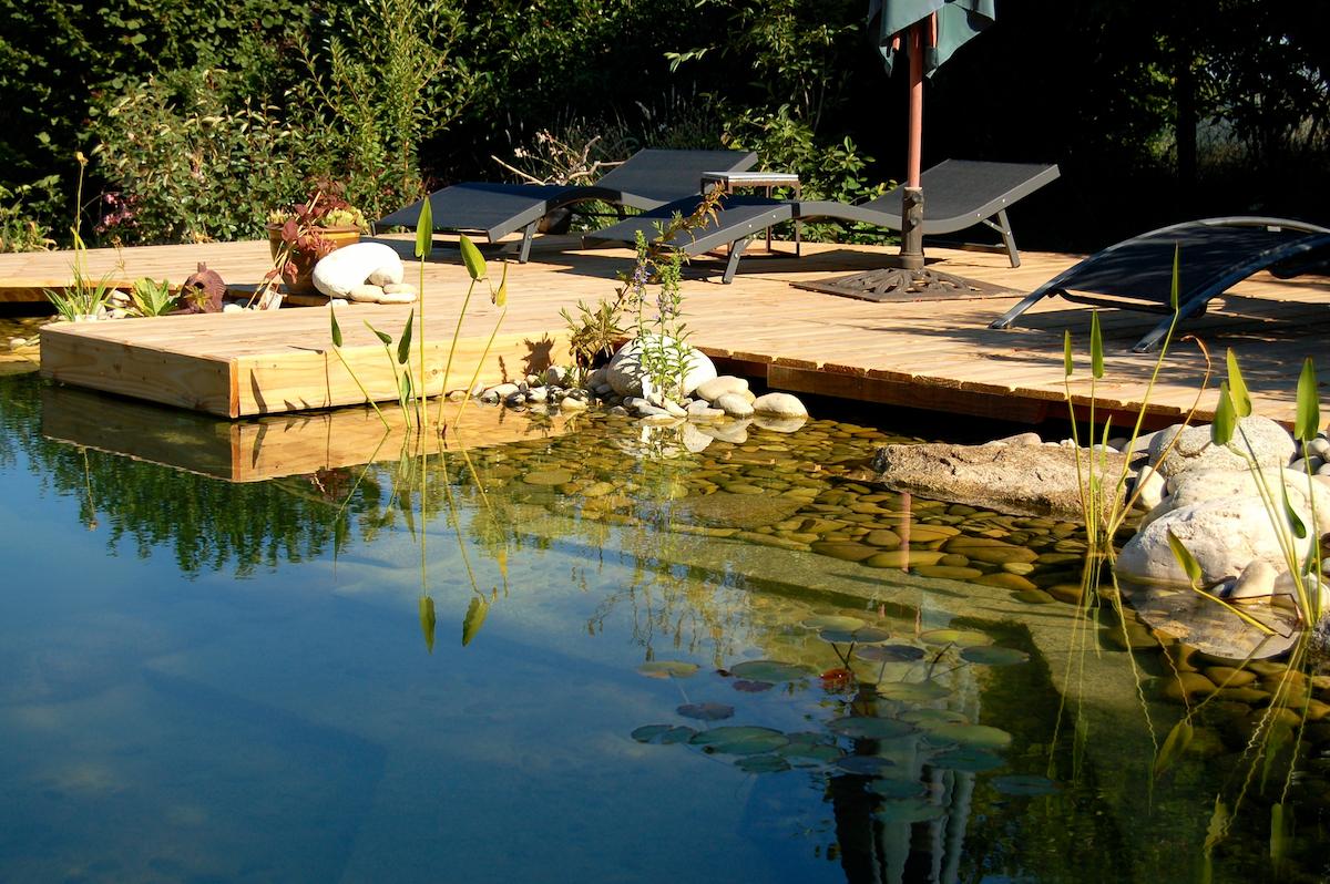 piscine naturelle avec plage bois