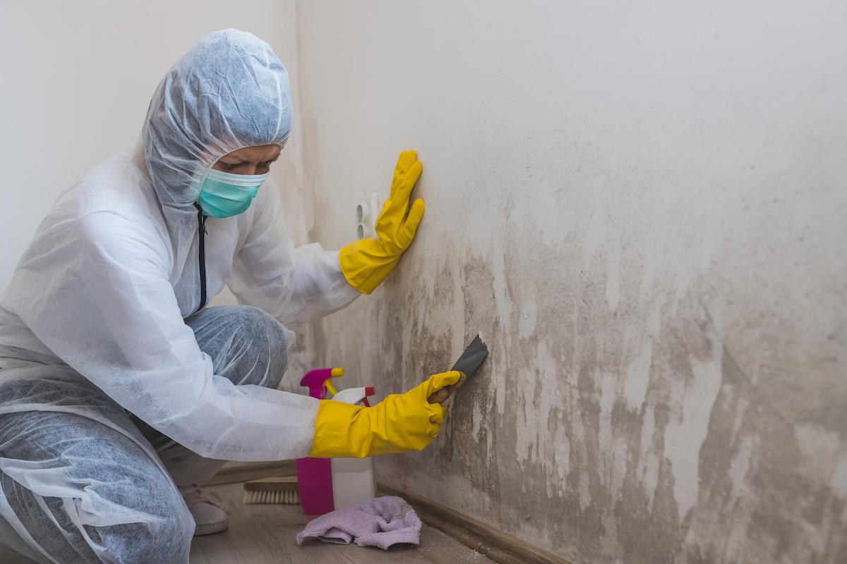 femme nettoyant un mur humide