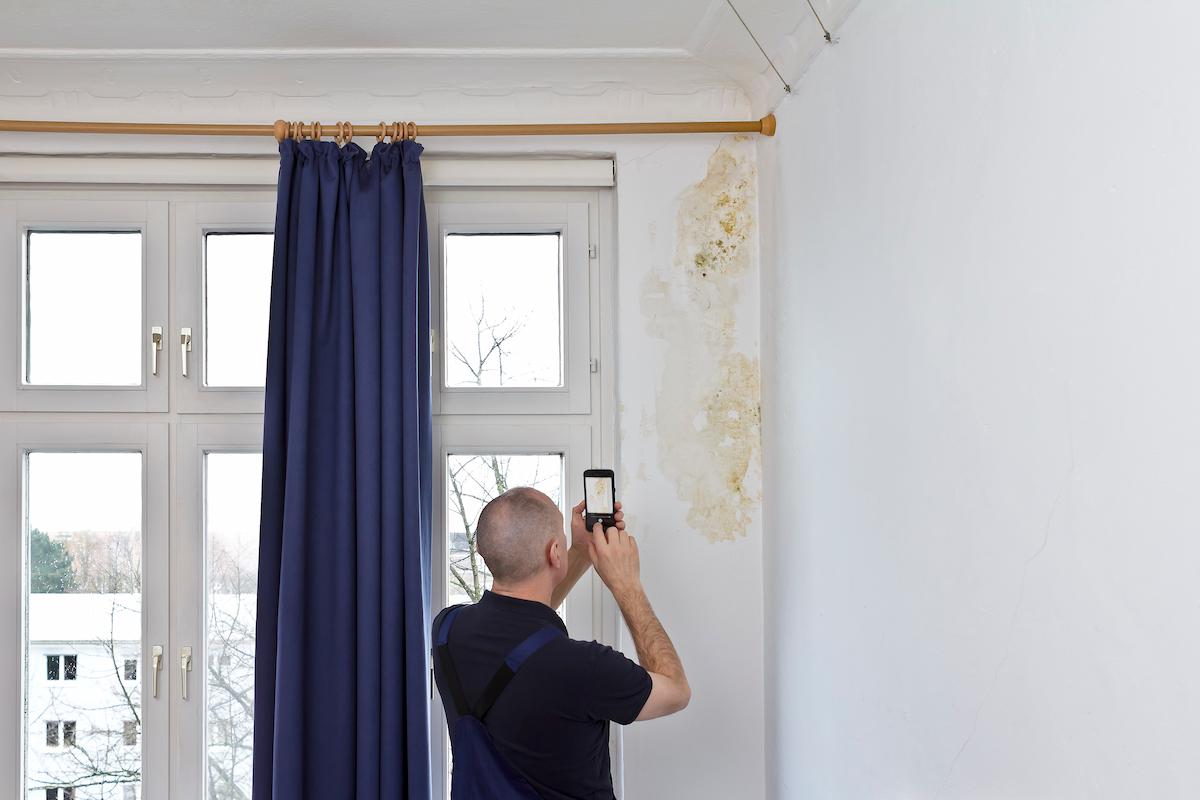 homme photographie humidite mur
