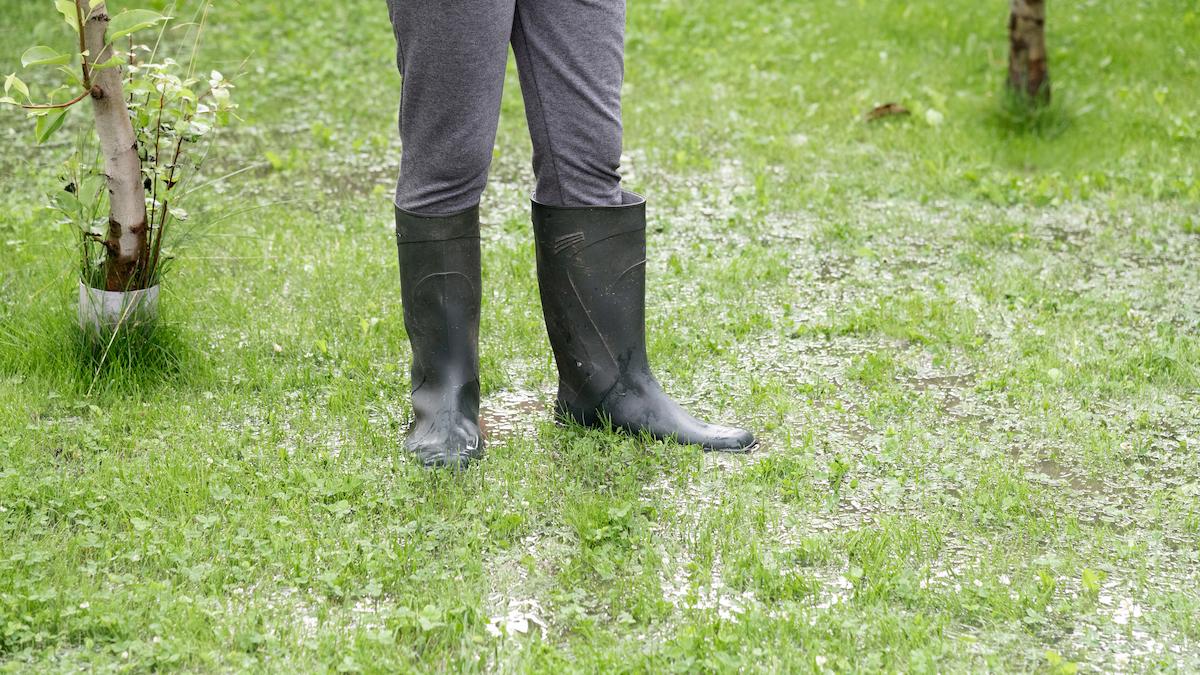 Personne avec bottes en caoutchouc dans un jardin détrempé