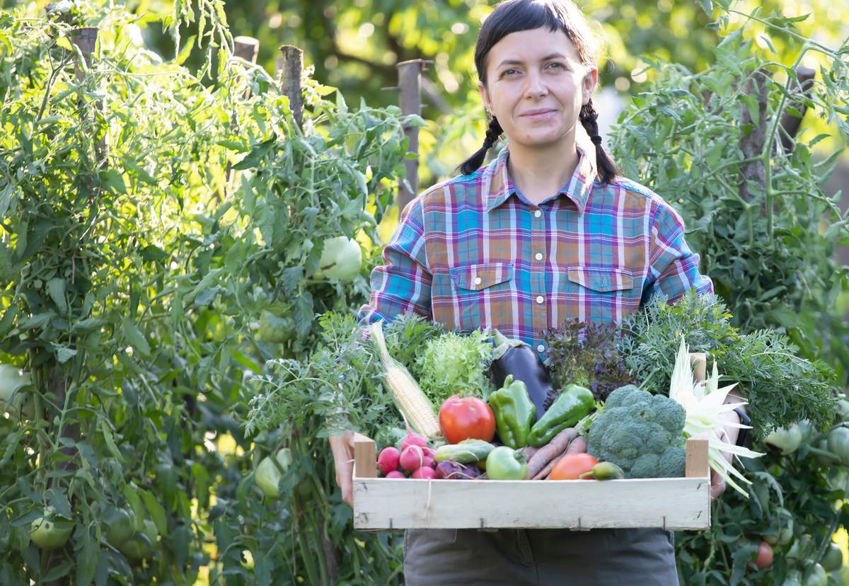 premier potager