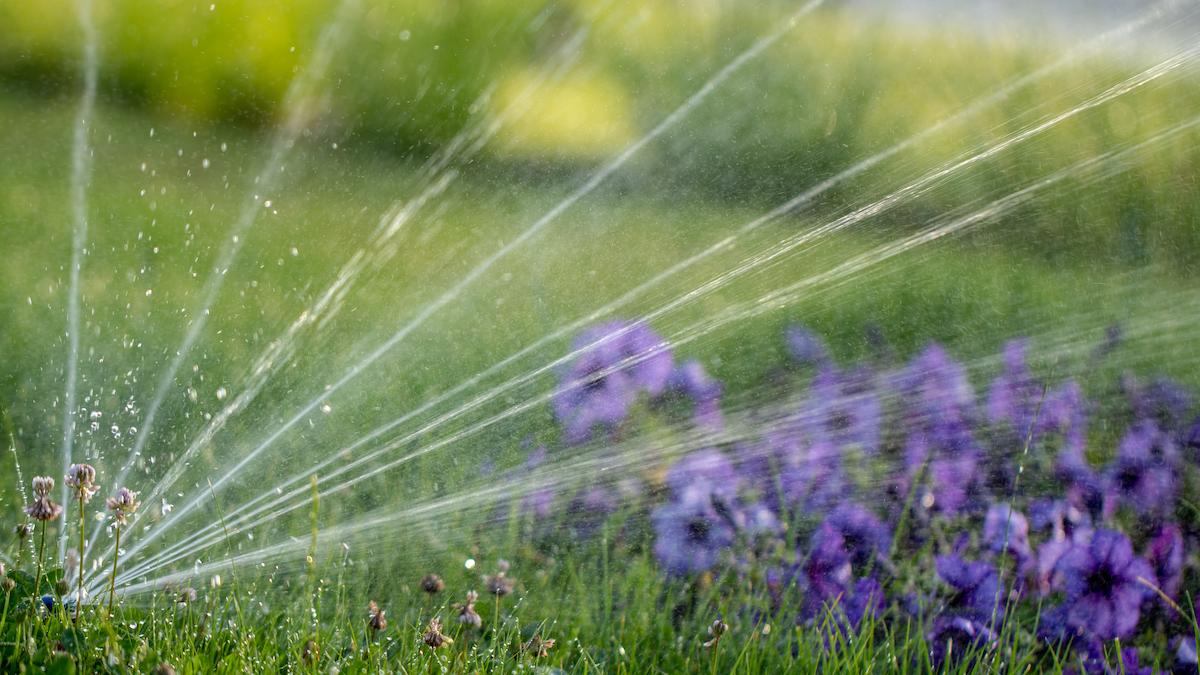 Arrosage automatique du jardin