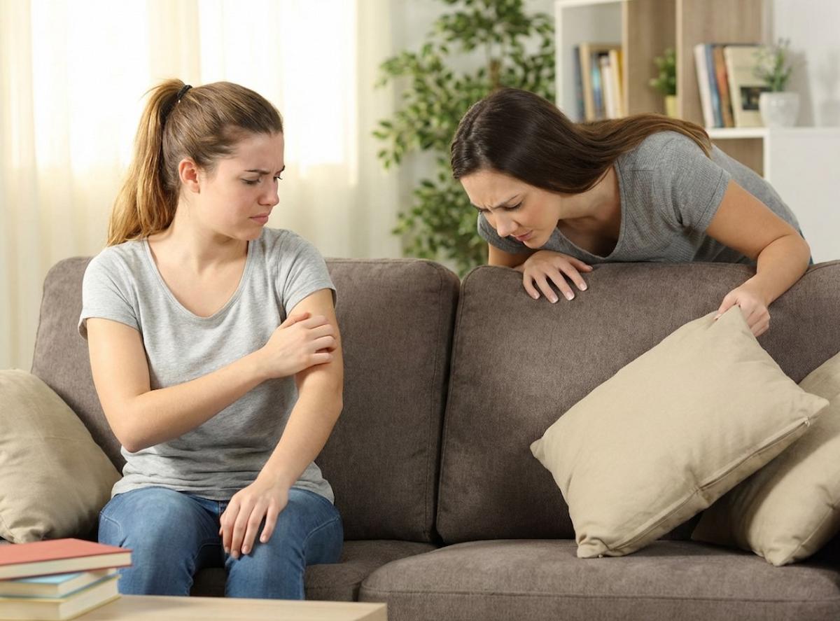 vous avez des acariens dans votre logement ? Faites appel à des professionnels