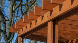 Votre pergola en bois s'abîme : ce que les premières pluies révèlent après les fortes chaleurs 