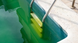 Pourquoi votre piscine reste verte malgré le chlore (et les vrais paramètres à corriger)