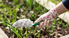 Cendre de bois au jardin : l'erreur qui peut asphyxier votre sol