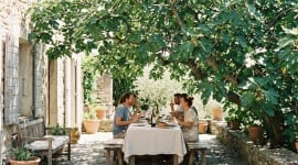 Figuier sous 40°C : le geste de pépiniériste qui empêche vos figues de cuire sur l'arbre
