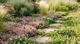 Pelouse parfaite en septembre : la méthode exacte pour un gazon dense avant l’hiver