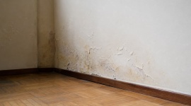 Humidité dans un mur mitoyen : comment gérer le problème ?