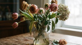 Vos fleurs coupées tiennent 3 jours ? Voici comment leur en faire gagner le double 