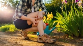  Ces gestes quotidiens qui attirent les moustiques chez vous 