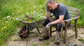 Mauvaises herbes : la méthode des paysagistes pour reprendre le contrôle de votre terrasse, sans y passer vos week-ends