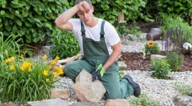 Après la canicule, ces gestes peuvent encore sauver votre jardin 