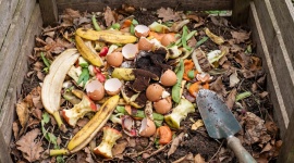Votre compost ne fonctionne pas comme prévu ? Voici les erreurs courantes qui ralentissent le processus et attirent les nuisibles
