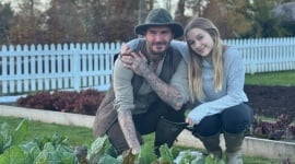 Potager, poules, ruches et une rose à son nom : le vrai jardin de David Beckham