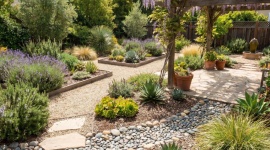 Un beau jardin sans une goutte d'eau : les alternatives qui remplacent la pelouse