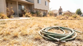 Jardin brûlé par la chaleur : ce qui repart encore maintenant et ce qui est perdu