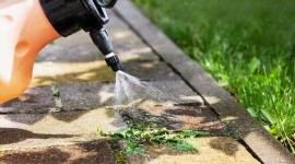 Terrasse envahie de mauvaises herbes : oubliez le vinaigre et le sel, cet ingrédient de cuisine fait des merveilles !