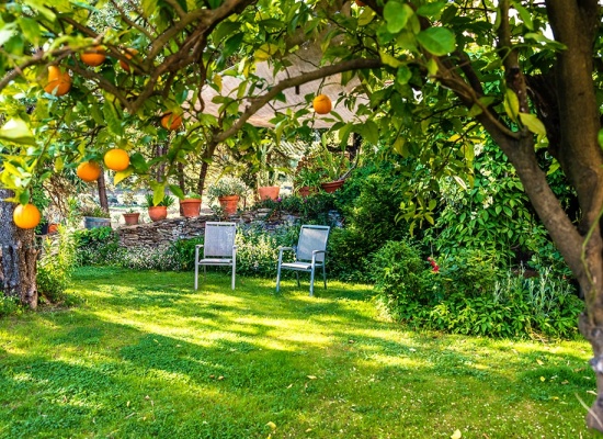 Aménagement du jardin - prix