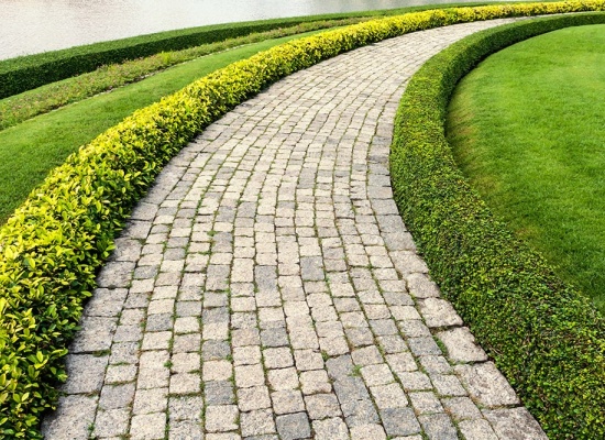Prix d'une allée en pavés