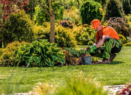 Prix pour l'entretien d'un jardin