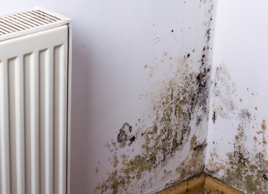 Photo d'un mur avec traces humidités