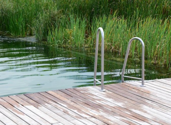 Six bonnes raisons de choisir une piscine naturelle