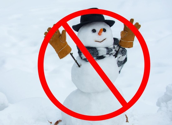 bonhomme-neige-gazon